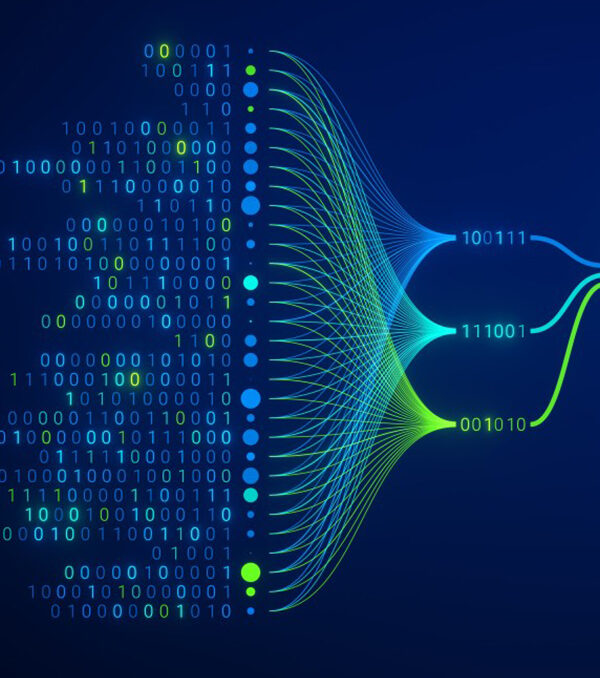 Data-Visualization-and-Insights