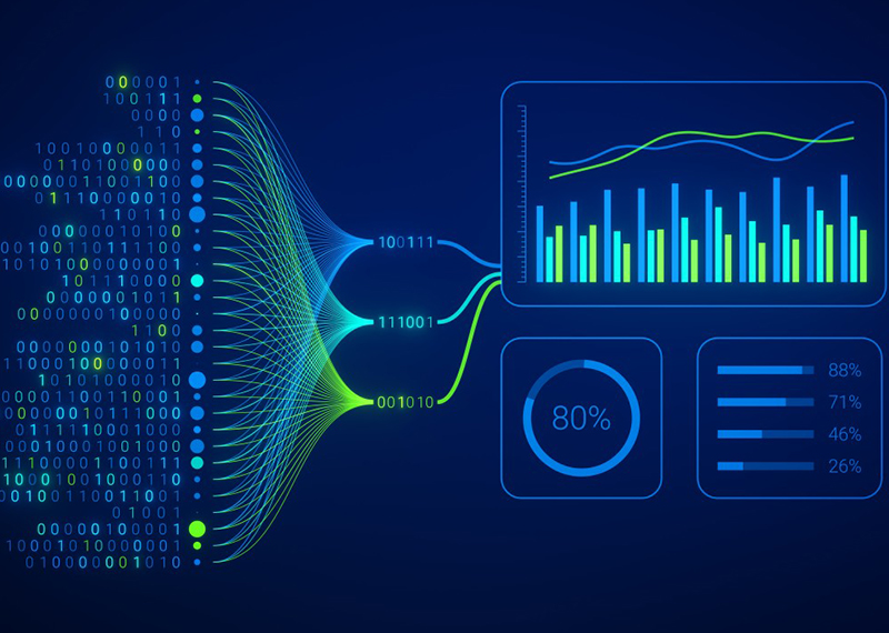 Data-Visualization-and-Insights